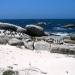 Boulders Beach