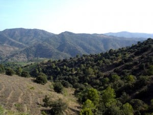 Priorat