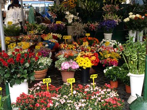 Blumenstand am Campo dei Fiori