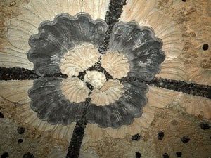 Isola Bella: Muschelgrotte unter dem Palast