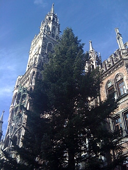 Christbaum am Marienplatz