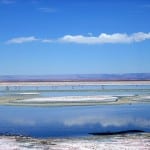 Salar de Atacama mit Flamingos