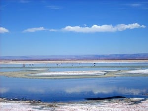Salar de Atacama mit Flamingos