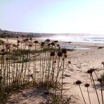 einsame Sanddüne auf Boavista