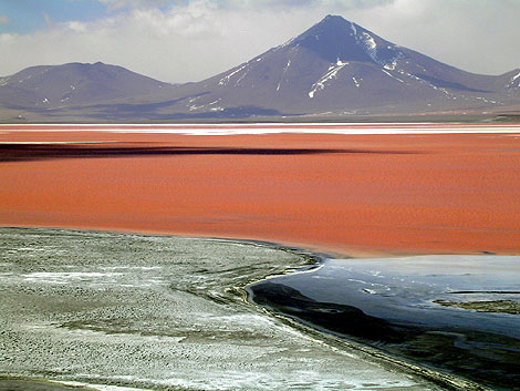 Laguna Colorada