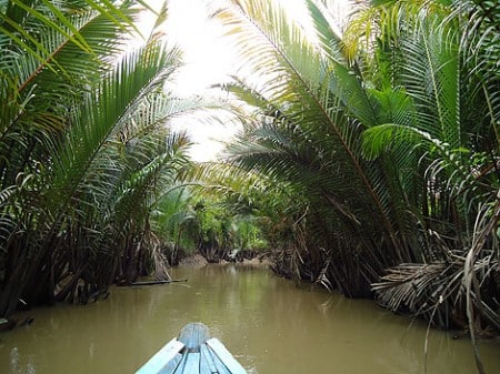 mit dem Sampan durch den Mekong Dschungel