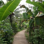 Radweg am Mekong