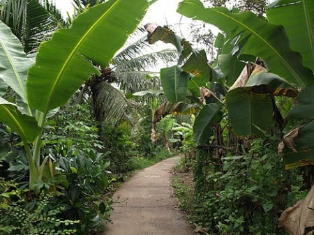 Radweg am Mekong