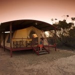 Kangaloona Camp, Gawler Ranges