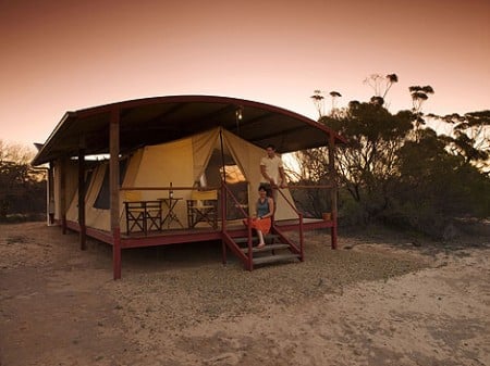 Kangaloona Camp, Gawler Ranges