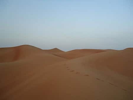 Spur in der Wüste