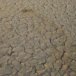 trockener Boden im Dead Vlei