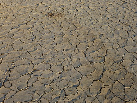 trockener Boden im Dead Vlei