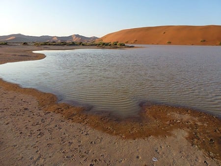 Wasser im Sossusvlei