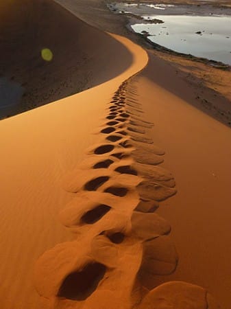 Big Daddy - Spuren im Sand