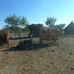 Himba Dorf