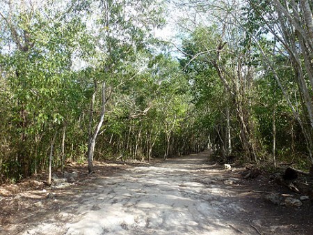 Cobá: Weg durch den Dschungel