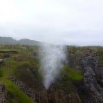 Blowhole