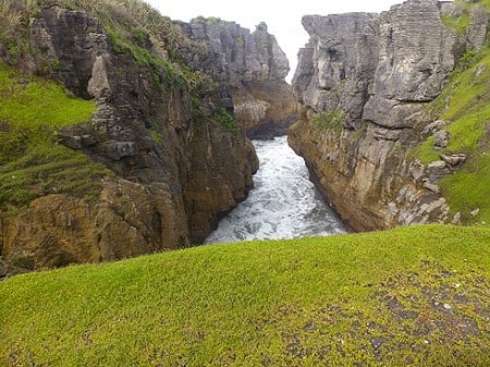 Grünes bei den Pancake Rocks