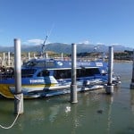 Whale Watching Katamaran in Kaikoura