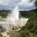 dampfender Whakarewarewa Pohutu