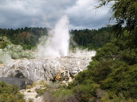 dampfender Whakarewarewa Pohutu