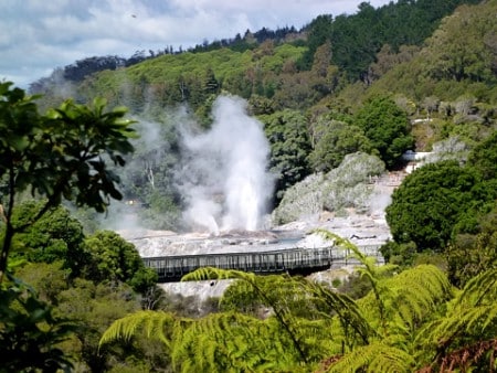 Whakarewarewa Pohutu