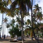 Strand in Marigot Bay