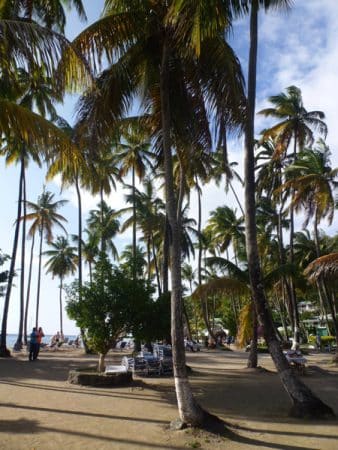 Strand in Marigot Bay
