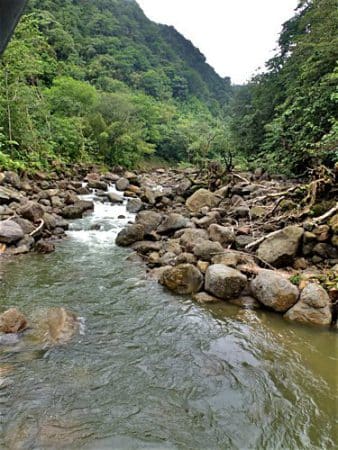 Abfluss von Trafalgar Falls