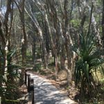 Noosa Nationalpark Coastal trail