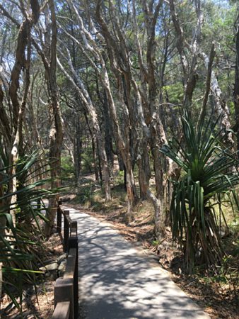 Noosa Nationalpark Coastal trail